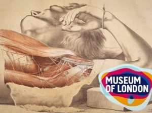 282924_559167527446795_1203005436_n